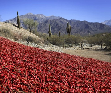 From Salta: Cafayate, Cachi and Salinas Grandes in 3 days