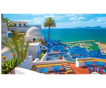 Visite autoguidée : Tunis, Carthage et Sidi Bousaid