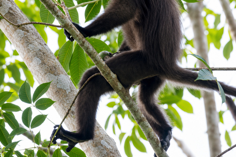 Tetebatu Waterfalls, Rice Terraces & Monkey Forest Day trip