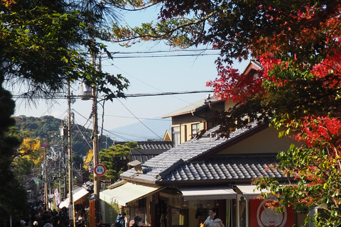 E-Bike Tour in Kyoto with Asuka, Japanese graduate student