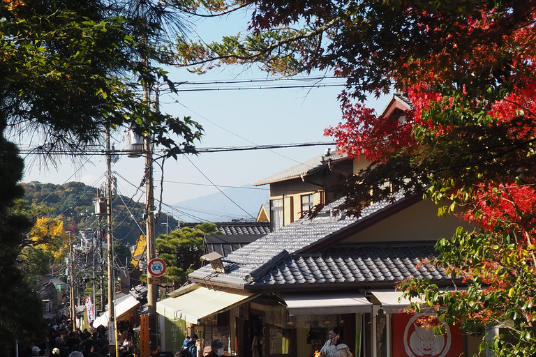 E-Bike Tour in Kyoto with Asuka, Japanese graduate student