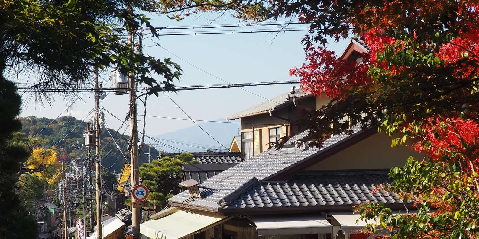 Kyoto experience — temples, geisha, bamboo grove — image 71
