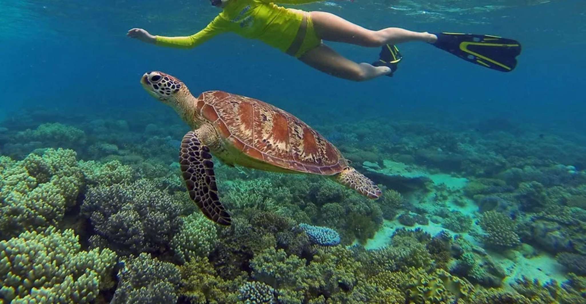 Excursión en barco de fondo de vidrio y aventura de snorkel - Port Vila - Hizvo