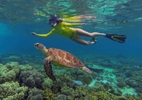 Glass Bottom Boat tour and Snorkelling Adventure - Port Vila - Hizvo