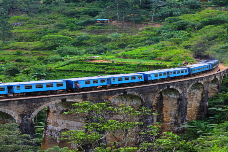 Kandy: Scenic Train Ride to Ella 2nd Class Reserved Tickets