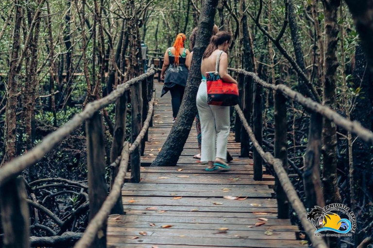 زنجبار: ثقافة الماساي وغابة جوزاني وسلاحف كهف السلام