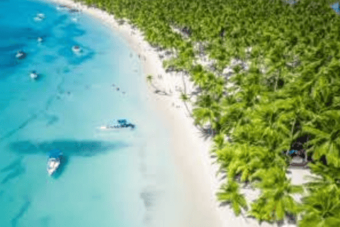 From Punta Cana: Saona Island Day Trip with Lunch & Drinks