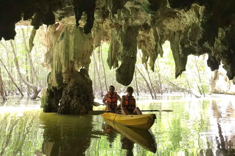 Krabi : Aventure en kayak dans la forêt de mangroves d&#039;Ao Thalane