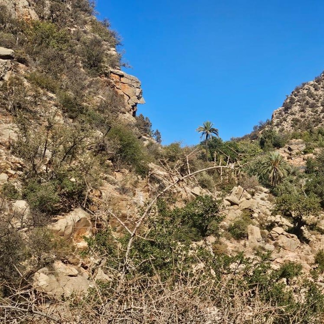 Aventure à Tizghi – Escapade d'une demi-journée au départ d'Agadir ou de Taghazout