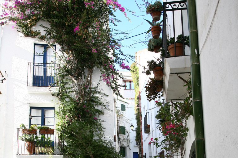 From Roses: Cruise on Costa Brava to Cadaqués From Roses: Sightseeing Cruise on Costa Brava to Cadaqués