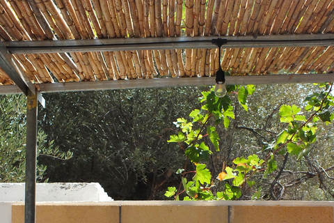 Sentier de l&#039;olivier, cours de cuisine et dégustation d&#039;huile d&#039;olive