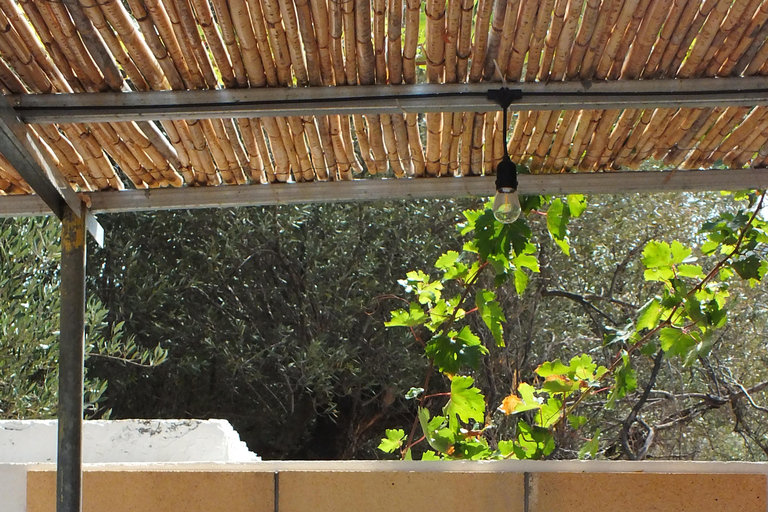 Sentier de l&#039;olivier, cours de cuisine et dégustation d&#039;huile d&#039;olive