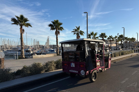Discover Alicante by Tuk Tuk: an experience for everyone Discover Alicante and Parque El Palmeral by Tuk Tuk in 90 minutes