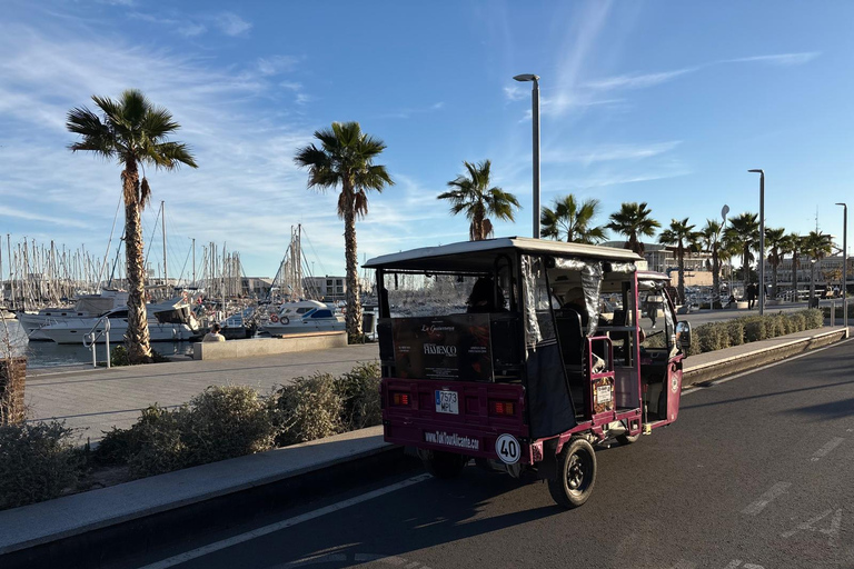 Discover Alicante by Tuk Tuk: an experience for everyone Discover Alicante and Parque El Palmeral by Tuk Tuk in 90 minutes