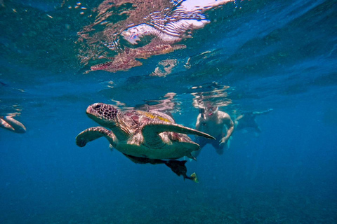 Ko Tao: Vintage Boat-Small Group Snorkeling Day Trip w/Meals