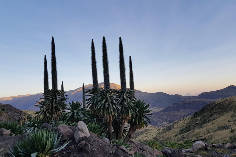 Addis Abeba: 10-dniowa wycieczka w góry Simien i Lalibela