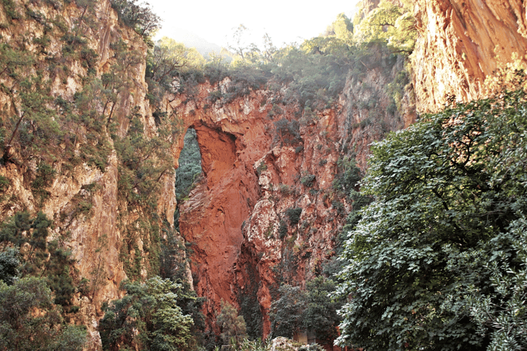 Chefchaouen: Akchour Waterfalls & Bridge of God Day Trip Shared / Small Group Excursion