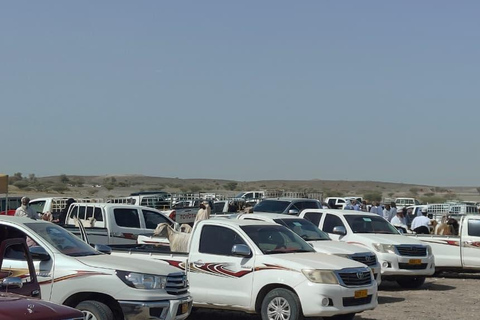 Muscat: Visit Sinaw Market, Izki Village, & Jarnan Cave Tour