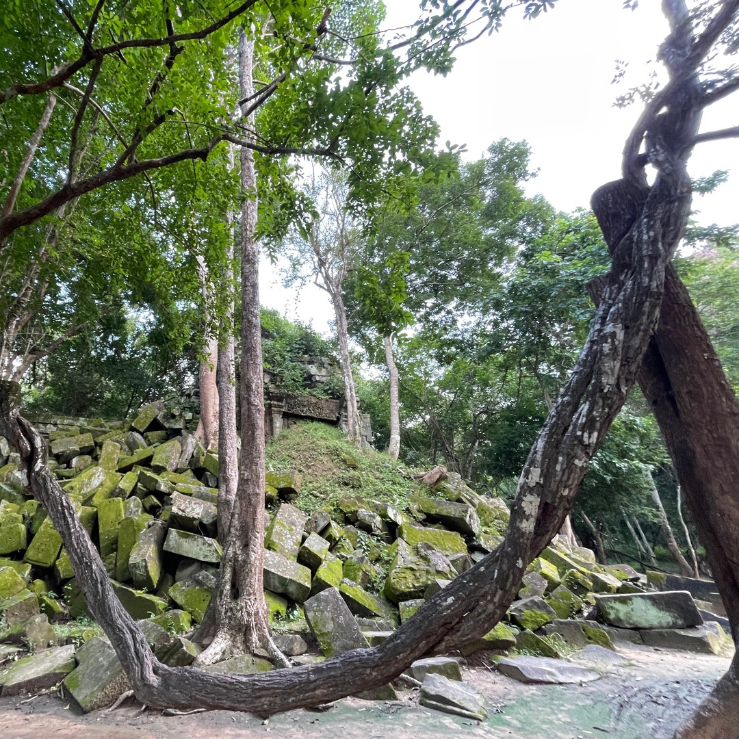 Colagem de mídia