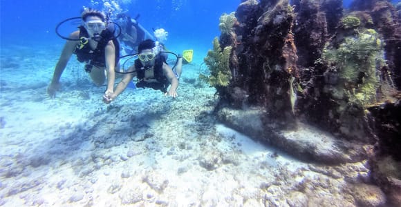Cancun: 2-Tank Dive for Beginners with MUSA and Reef Dive