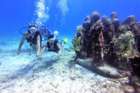Cancun: 2-Tank Dive for Beginners with MUSA and Reef Dive