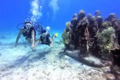 Cancun: Mergulho com 2 tanques para iniciantes com MUSA e mergulho em recifes