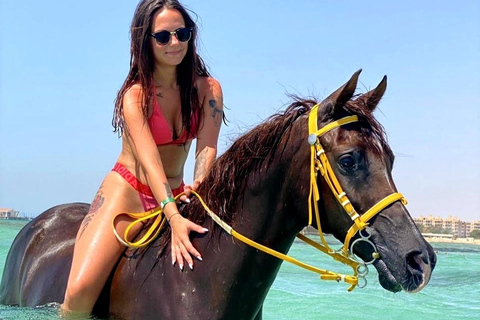 Hurghada: Swimming & Horse riding with FREE Photos & Videos 2-Hour Horse Swimming & Photos with Transfer