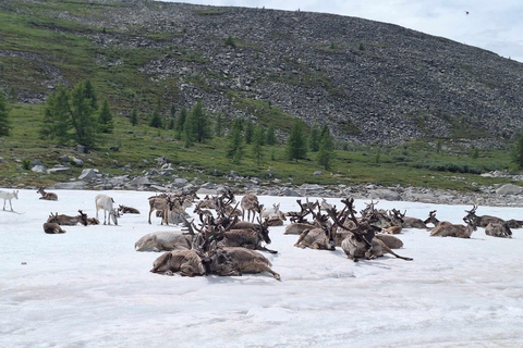 Ulaanbaatar: 9-Day Northern Mongolia Reindeer Adventure