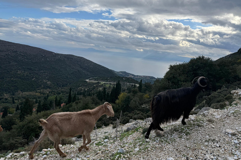 Kefalonia Ainos Premium 4x4 Van Experience
