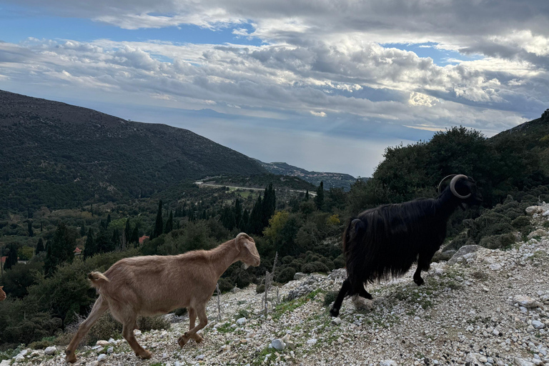 Kefalonia Ainos Premium 4x4 Van Experience
