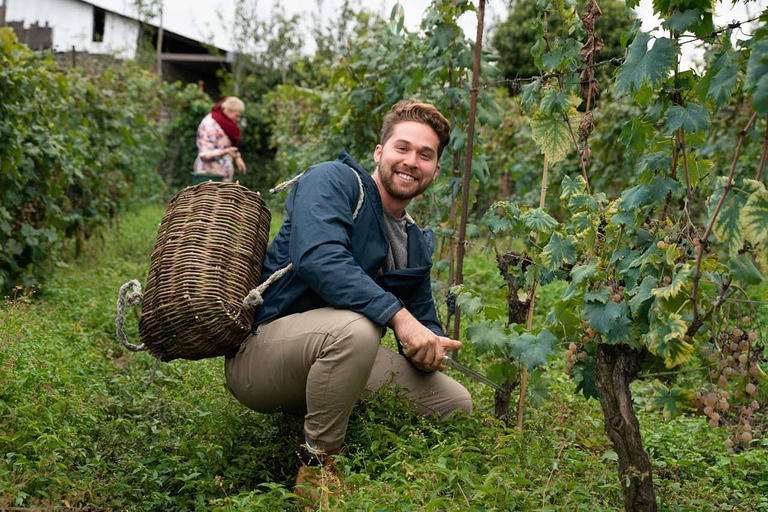 Tbilisi to kakheti bodbe Sighnaghi telavi & free 9 wine test