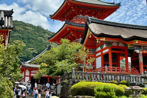 Kyoto, Nara, or Osaka: Private Day Trip with Guide and Car
