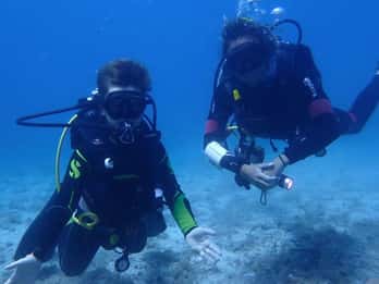 Porto Torres: Schnuppertauchen