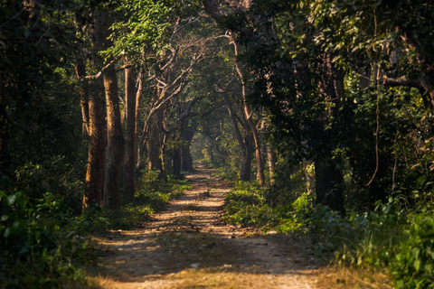 Godawari HikeGodawari Hiking