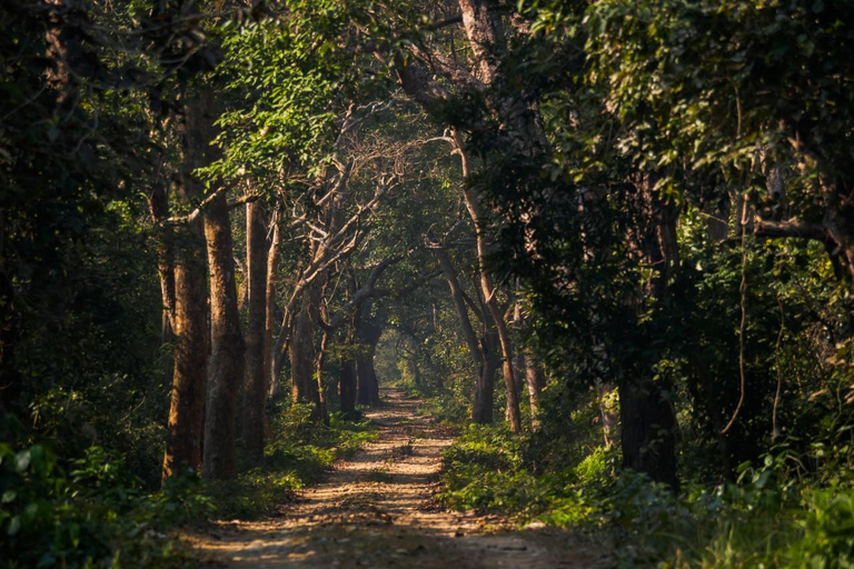 Godawari HikeGodawari Hiking