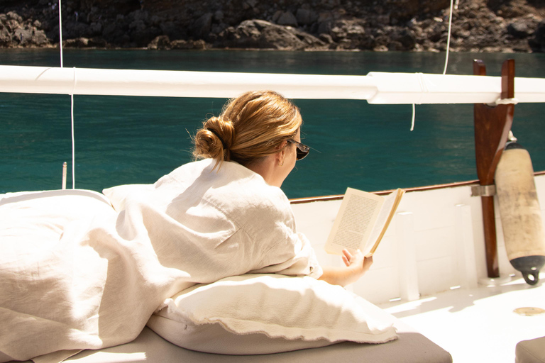 Come and enjoy our sightseeing tour along the coast of Alcúdia: Mallorca