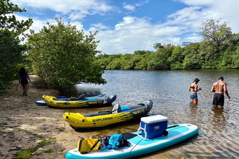 Fort Lauderdale: Kayak & Paddleboard Mangroves Eco Adventure