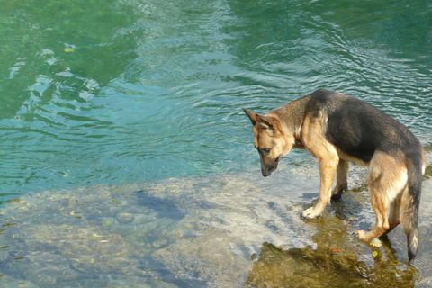 From Mostar: Neretva River Rafting Adventure with Meals Includes round-trip from Mostar to Konjic and back.