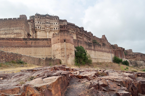 Au départ d&#039;Agra : Circuit de 5 jours au Rajasthan avec Ranthambore