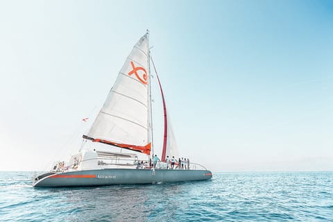 Palma de Mallorca: Half-Day Catamaran Tour with Buffet Meal