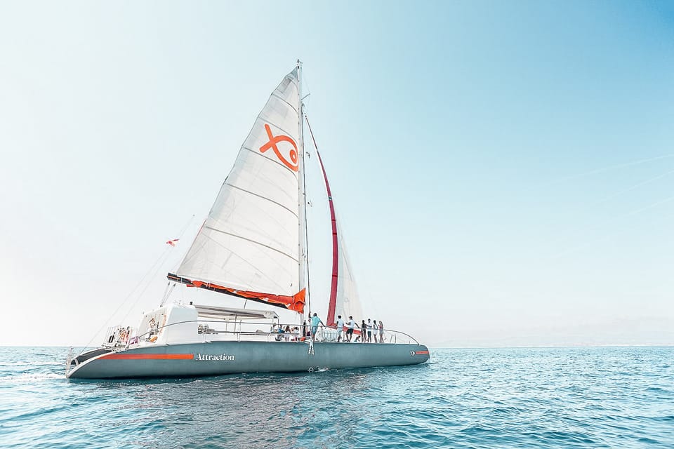  Palma de Mallorca: Half-Day Catamaran Tour with Buffet Meal 