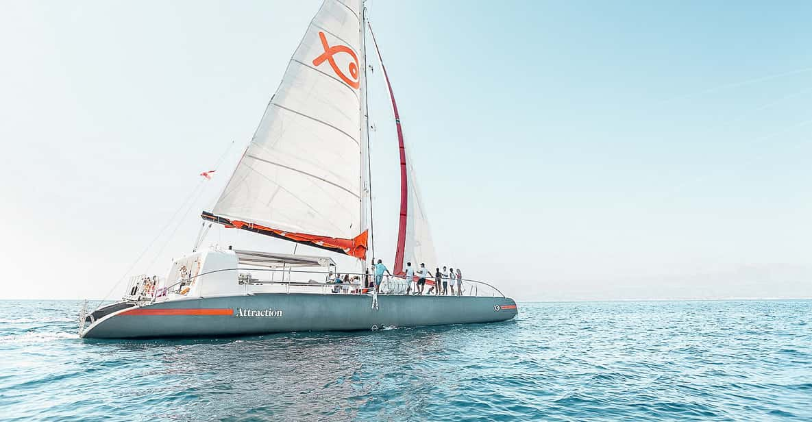  Palma de Mallorca: Half-Day Catamaran Tour with Buffet Meal 