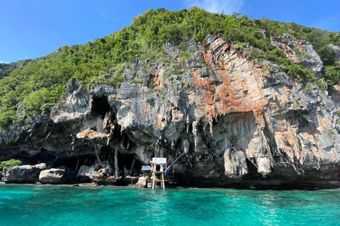 Från Phi Phi: Halvdagsutflykt med longtailbåt och snorkling