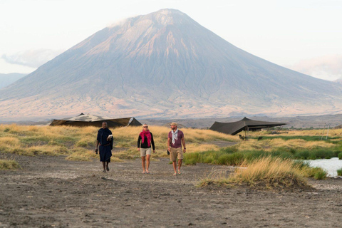 Excursión de 1 día al Lago Natron