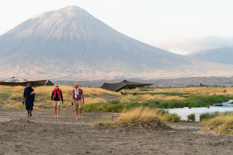 Excursión de 1 día al Lago Natron