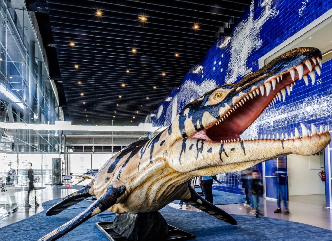 Lissabon: Oceanário de Lisboa Indgangsbillet