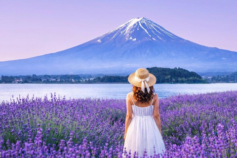 Mt Fuji 8 Spots Customizable Sightseeing Day Tour with Guide Mt Fuji 8 Spots Customizable Sightseeing Day Tour with Guide