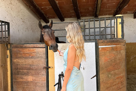 Salalah-Oman: Arabian Horseback Ride on the Beach at Sunset