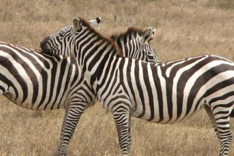 Nairobi: Hell’s Gate National Park Day Trip With boat Ride