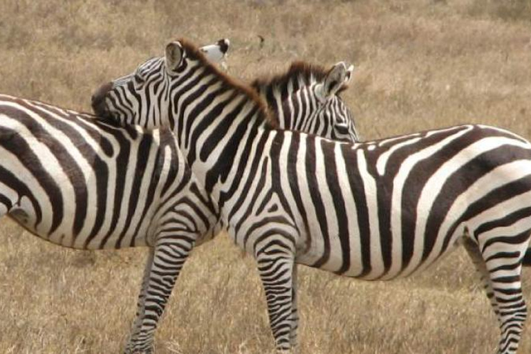 Nairobi: Hell’s Gate National Park Day Trip With boat Ride